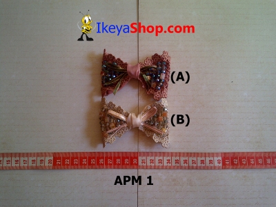 APM 1  large2